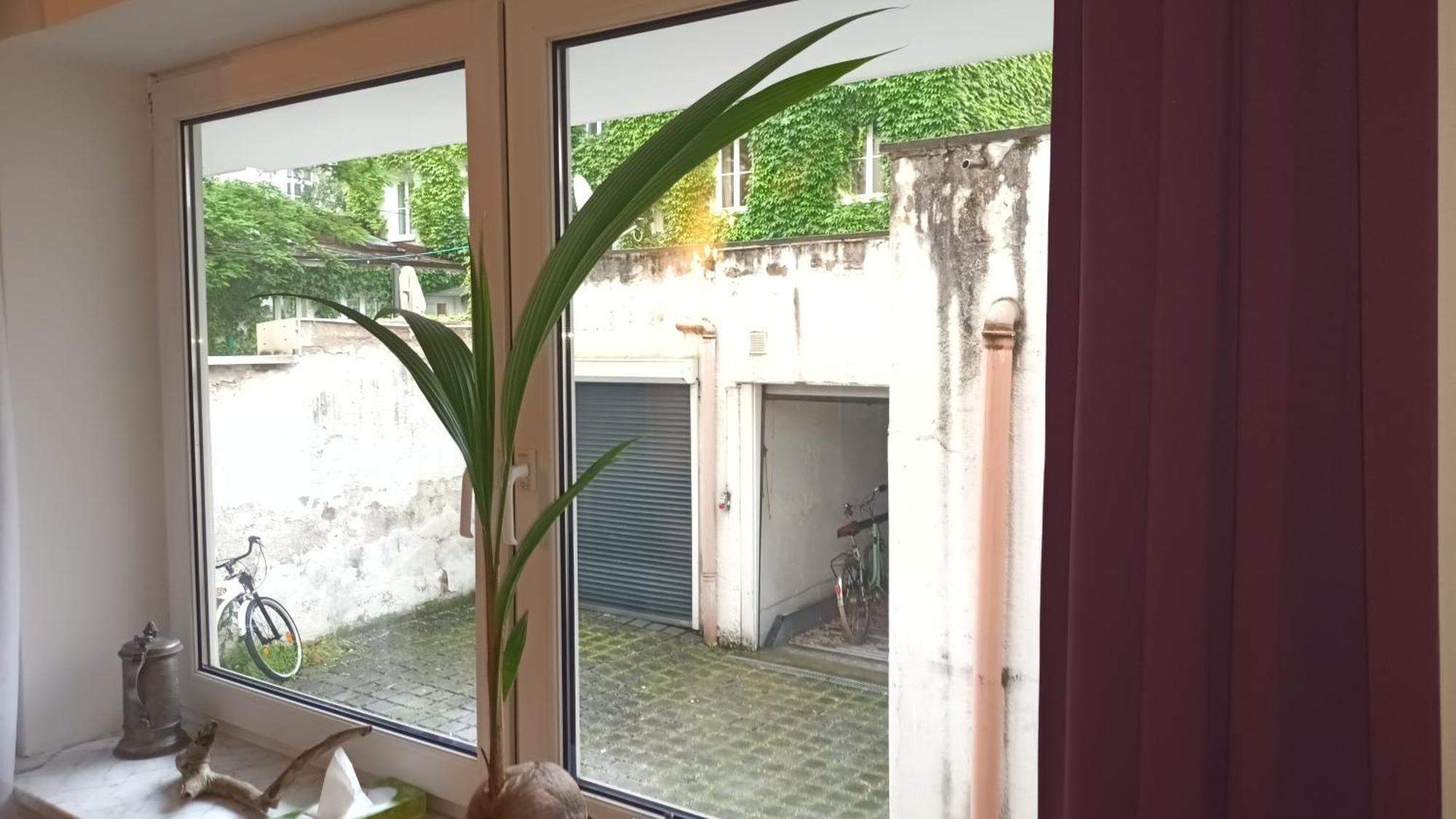 Stilvolles Appartement Im Zentralen Schwabing - Innenstadt Munchen Bagian luar foto